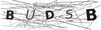 Visual CAPTCHA