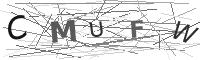 Visual CAPTCHA