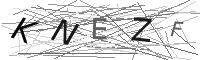 Visual CAPTCHA